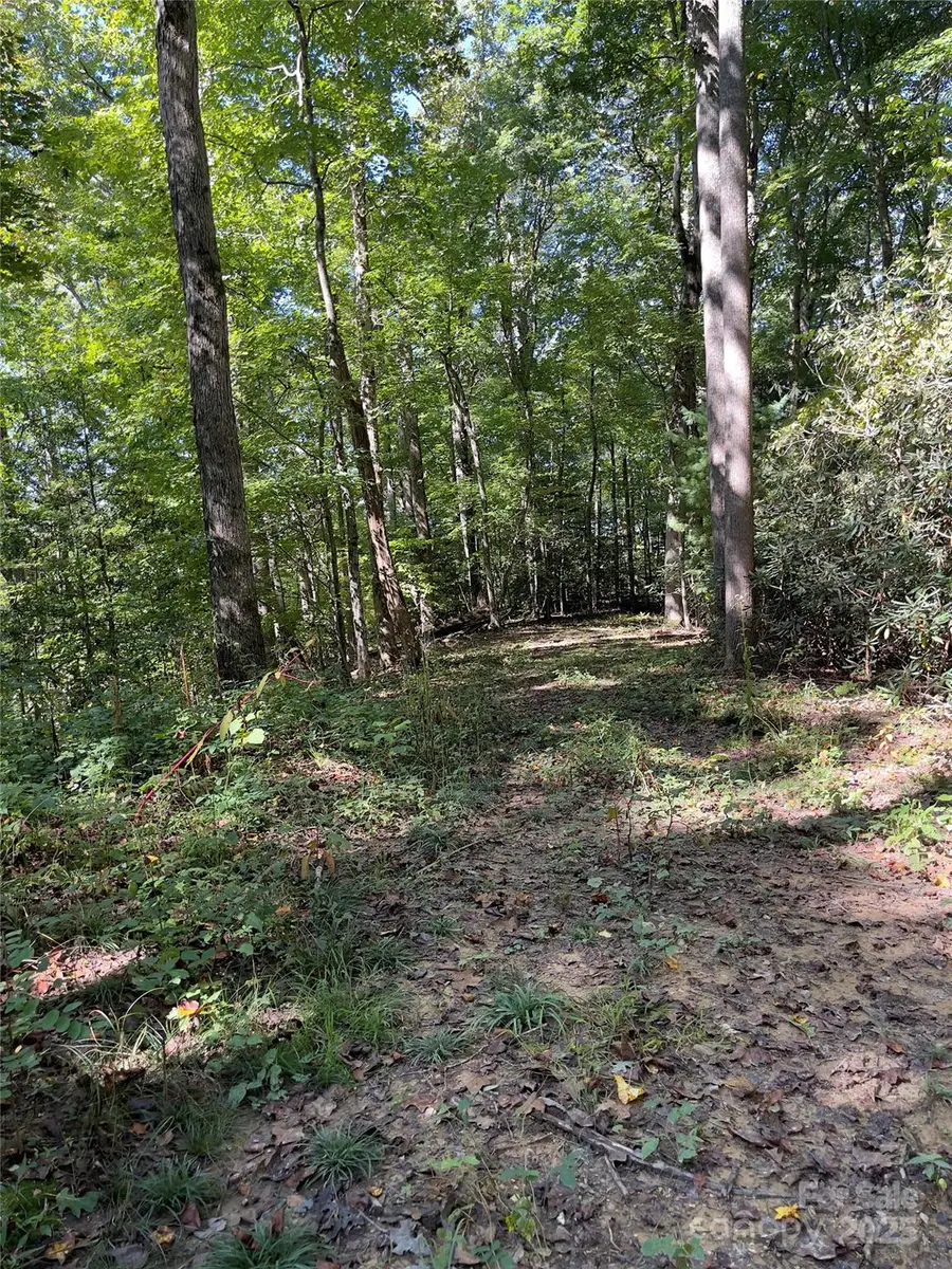 0 Empress Lane, Hoopers Creek Township, NC 28792 - Image #2