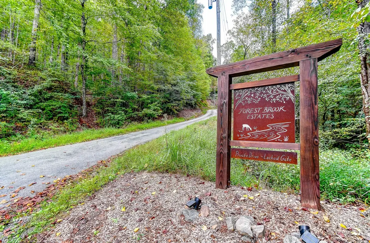 99999 Forest Brook Drive, Black Mountain, NC 28711 - Image #1
