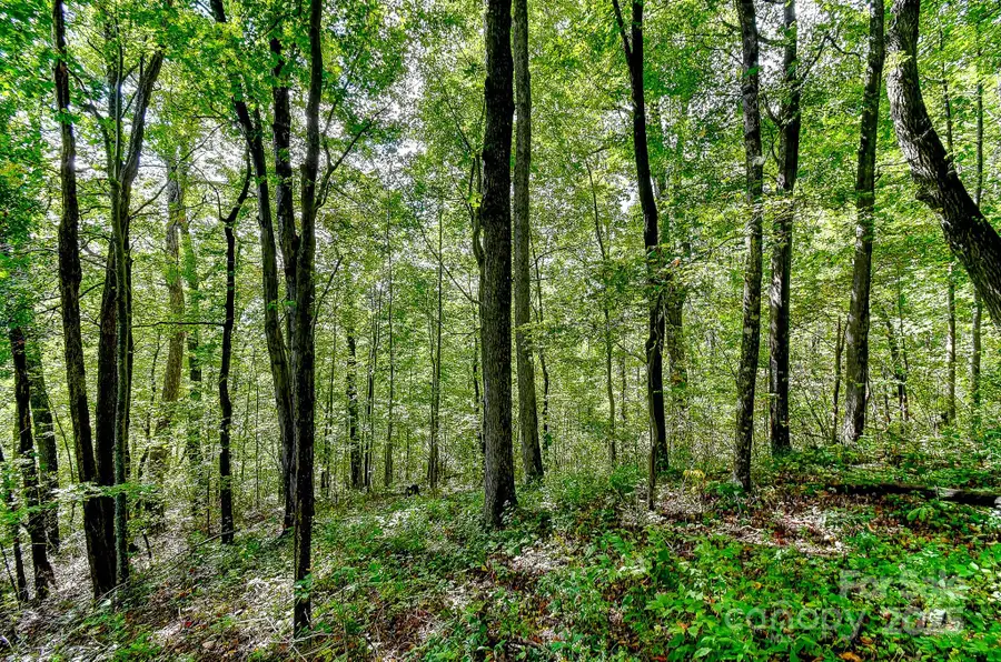 99999 Forest Brook Drive, Black Mountain, NC 28711 - Image #2