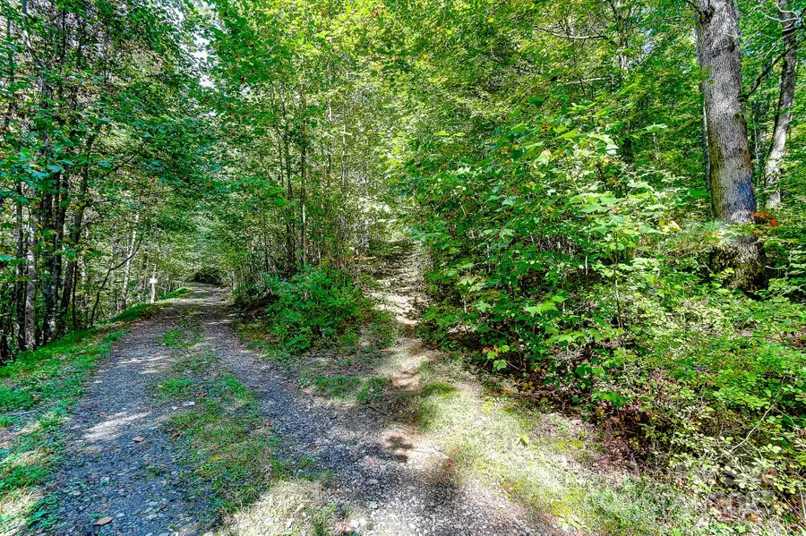 99999 Forest Brook Drive, Black Mountain, NC 28711 - Image #3