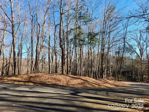 Lot 218 Bolt Road, Lake Lure, NC 28746