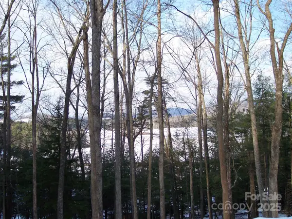 0 Tatham Road, Hendersonville, NC 28792