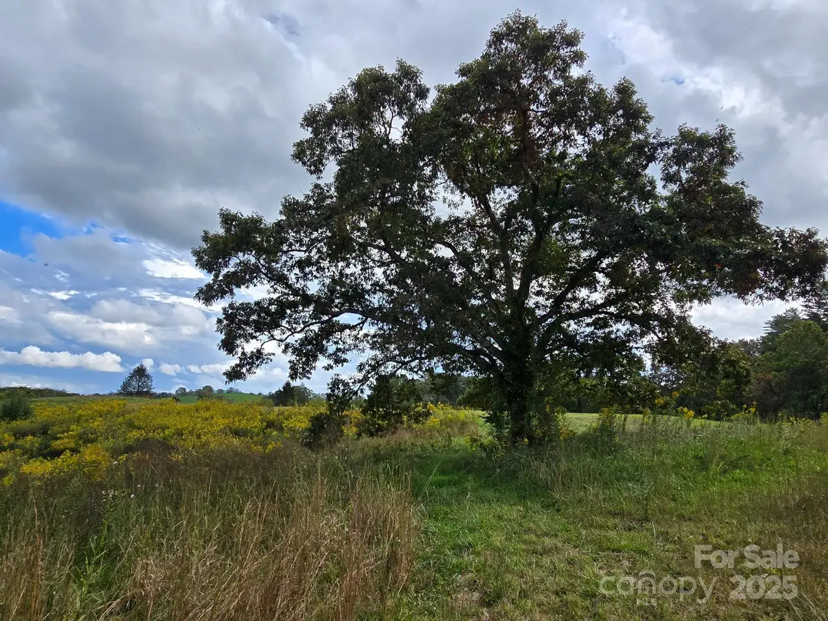 128 Cook Lane, Mills River, NC 28759 - Image #1