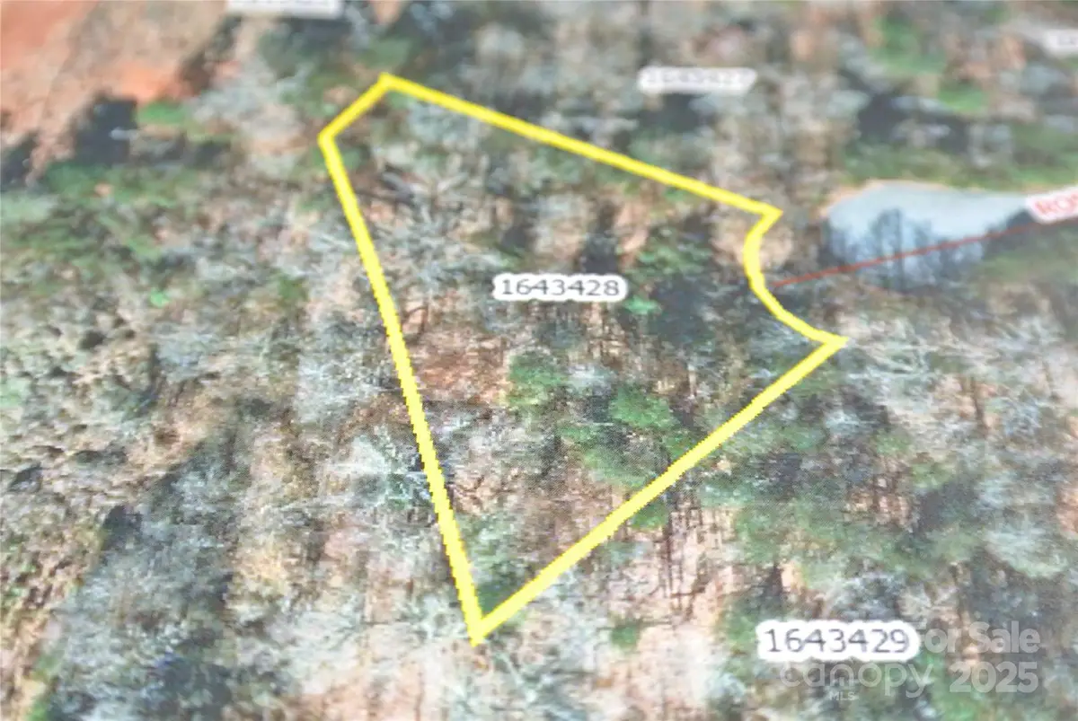 Lot 130 Rosecommon Lane, Rutherfordton, NC 28139 - Image #1