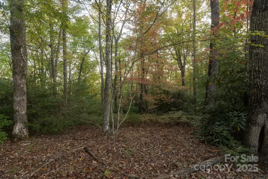 TBD Pine Mountain Trail #M8, Brevard, NC 28712 - Image #2