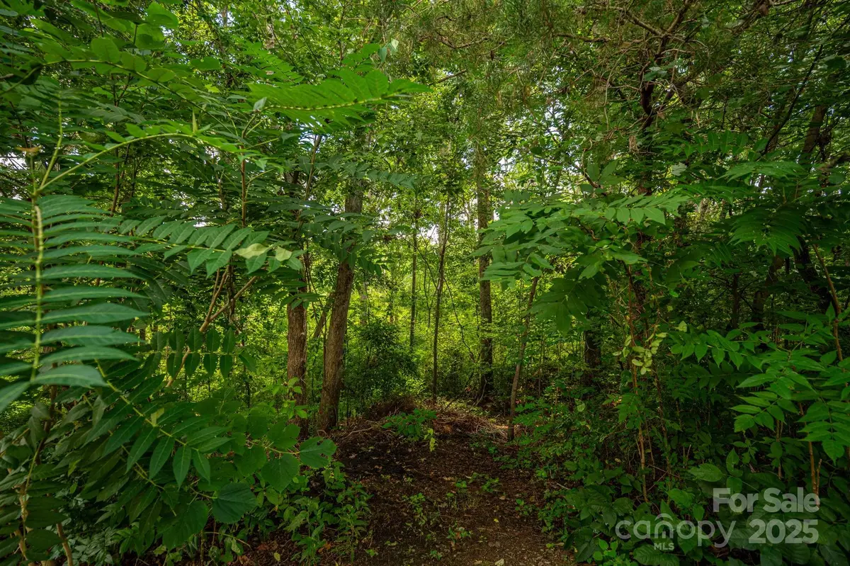 Lot 34 Line Drive, Forest City, NC 28043 - Image #1