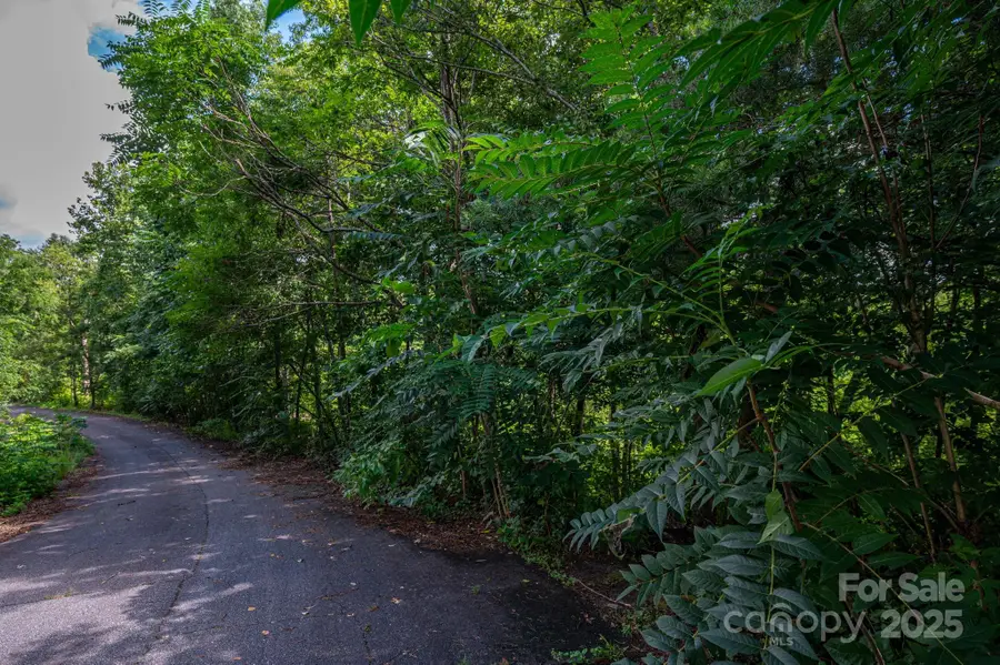 Lot 34 Line Drive, Forest City, NC 28043 - Image #3