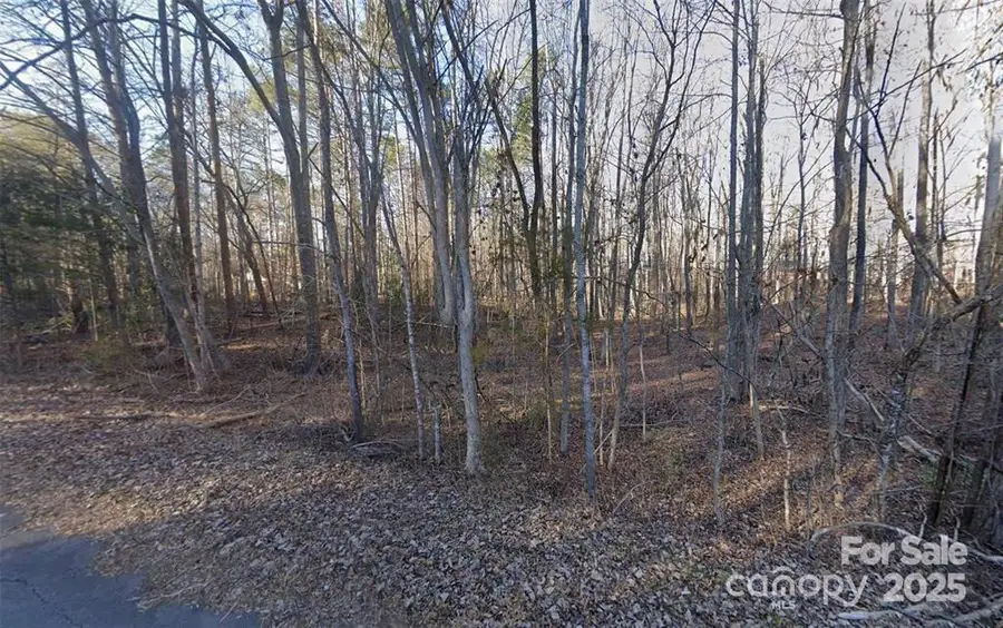 2060 Berrywood Lane, Clover, SC 29710 - Image #3