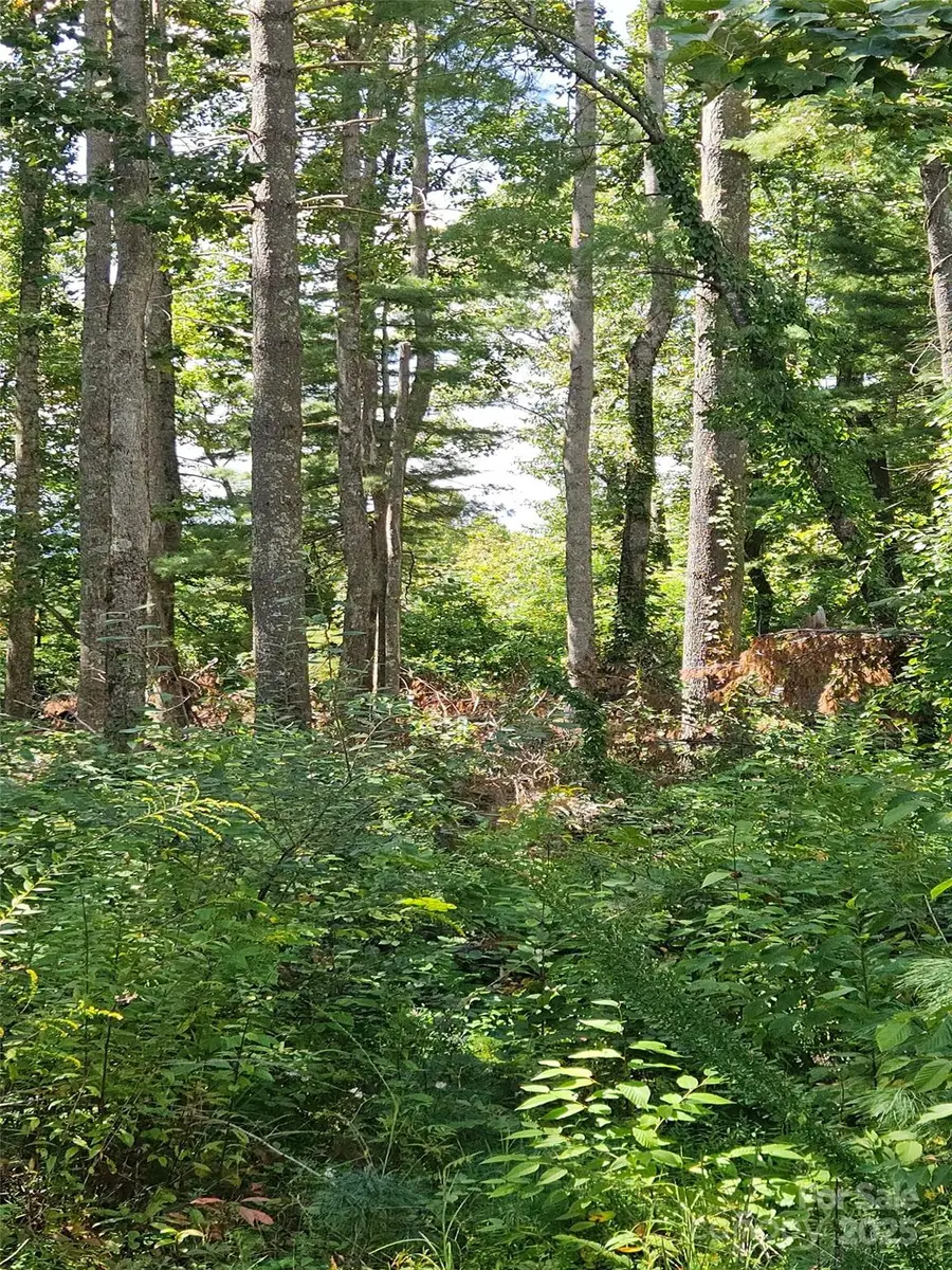 00 Bearwallow Mountain Drive #191, Hendersonville, NC 28792 - Image #2