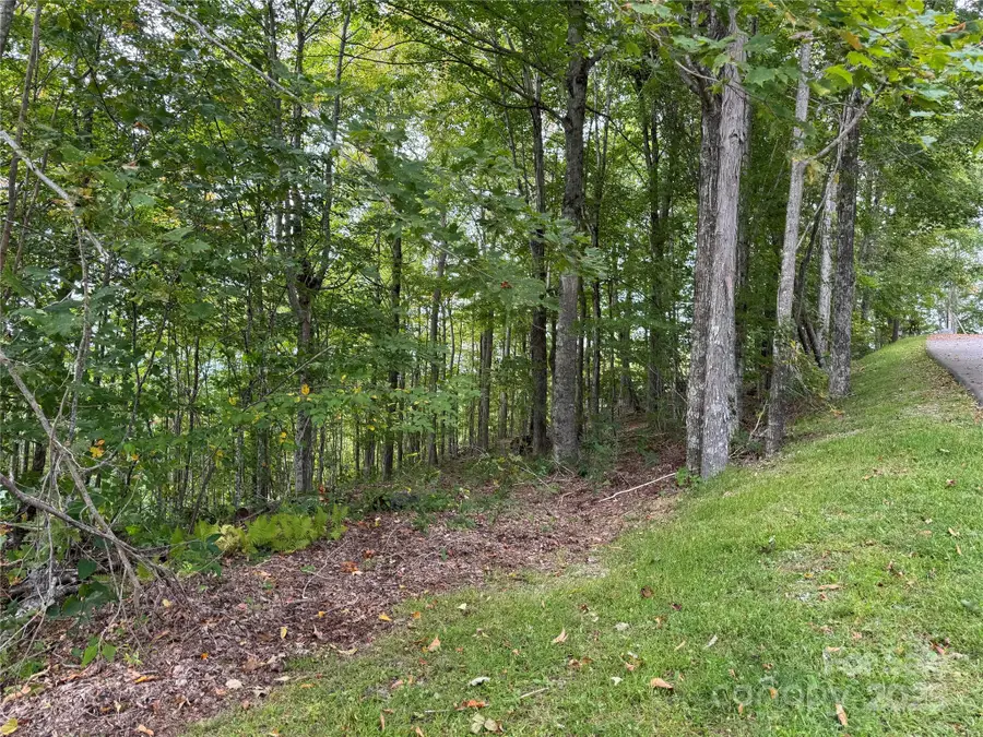 TBD Bear Paw Road #15, Elk Park, NC 28622 - Image #2