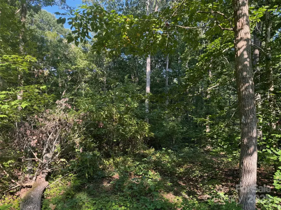 0 Wolf Road #8, Alexis, NC 28006 - Image #3