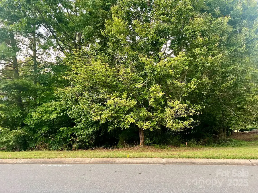 Lot 6 Scenic Ridge Drive, Hickory, NC 28601 - Image #2