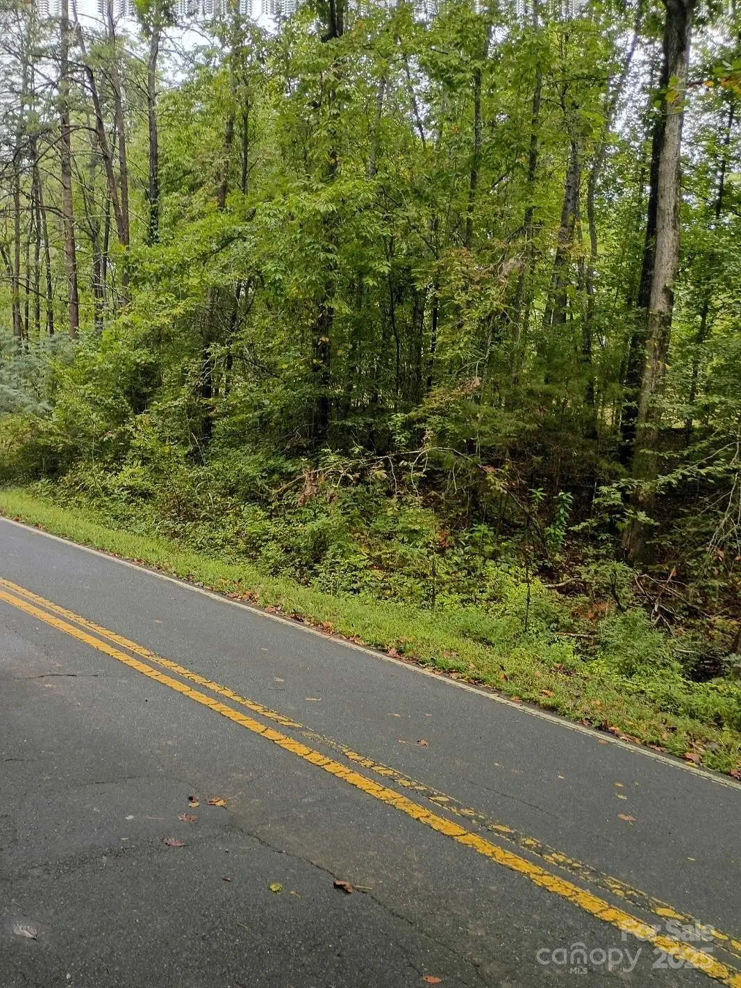 00 Ed Thompson Road, Rutherfordton, NC 28139 - Image #1