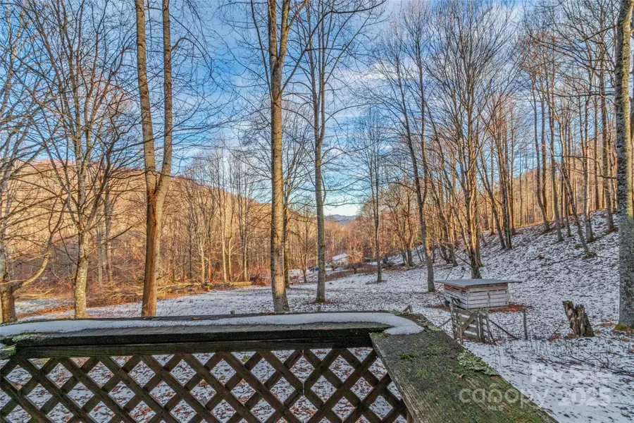 1571 Roaring Fork Road, Burnsville, NC 28714 - Image #3