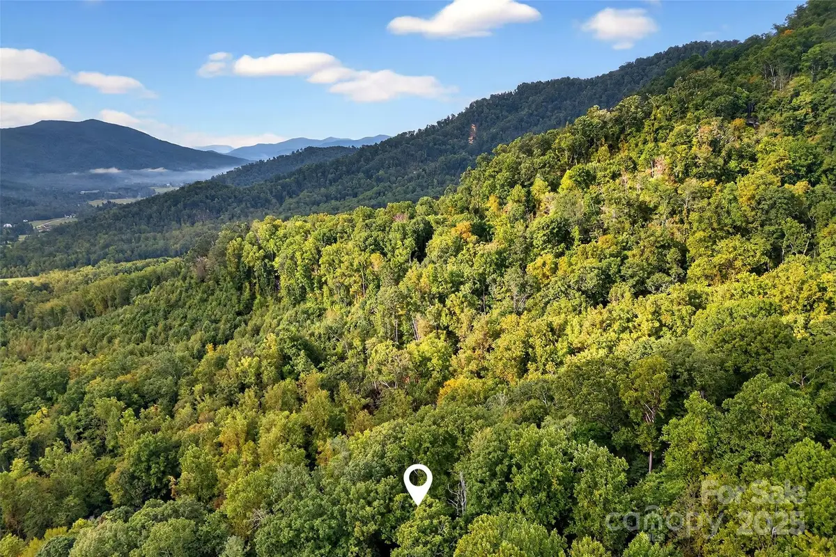 99999 Rocky Branch Trail, Marion, NC 28752 - Image #1