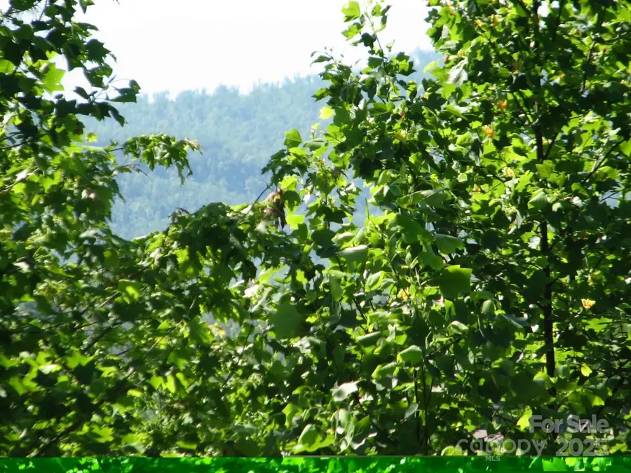 0000 Double Eagle Drive #25, Nebo, NC 28761 - Image #2