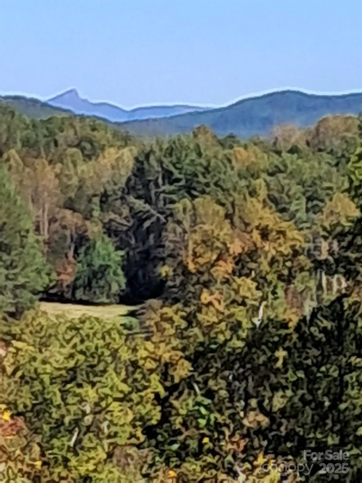 150 Summers Way, Marion, NC 28752 - Image #1