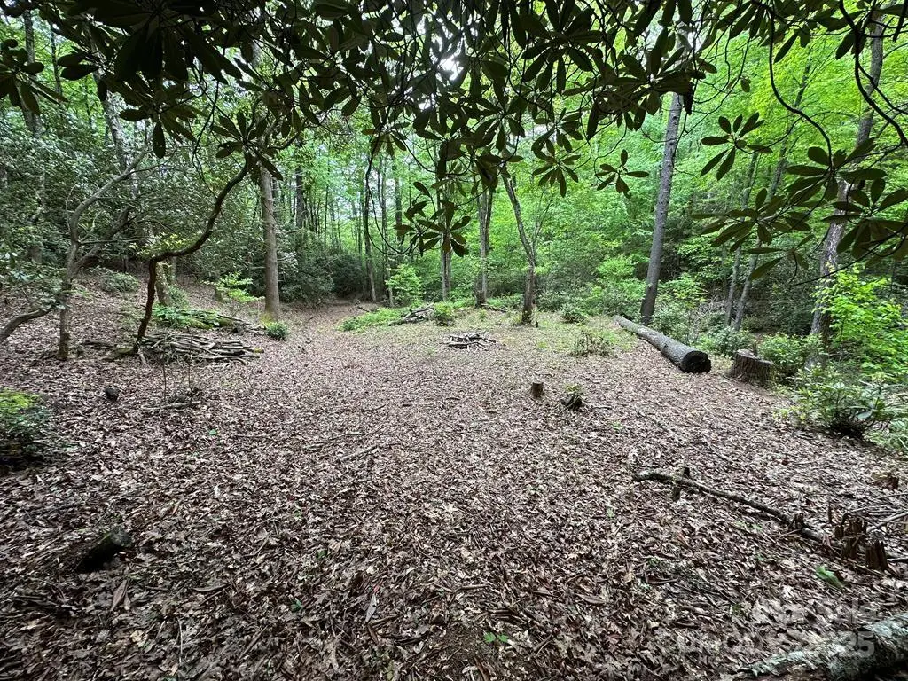 00 Diamond Creek Road, Lake Toxaway, NC 28747 - Image #1