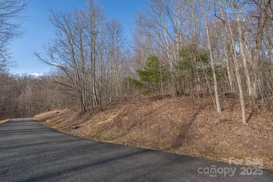 Lot 52 Pinnacle Drive, Elk Park, NC 28622 - Image #2