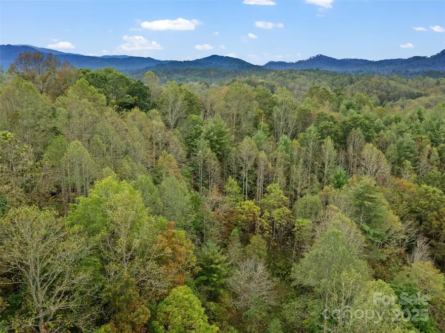 0 Sweet Creek Road, Bakersville, NC 28705 - Image #3