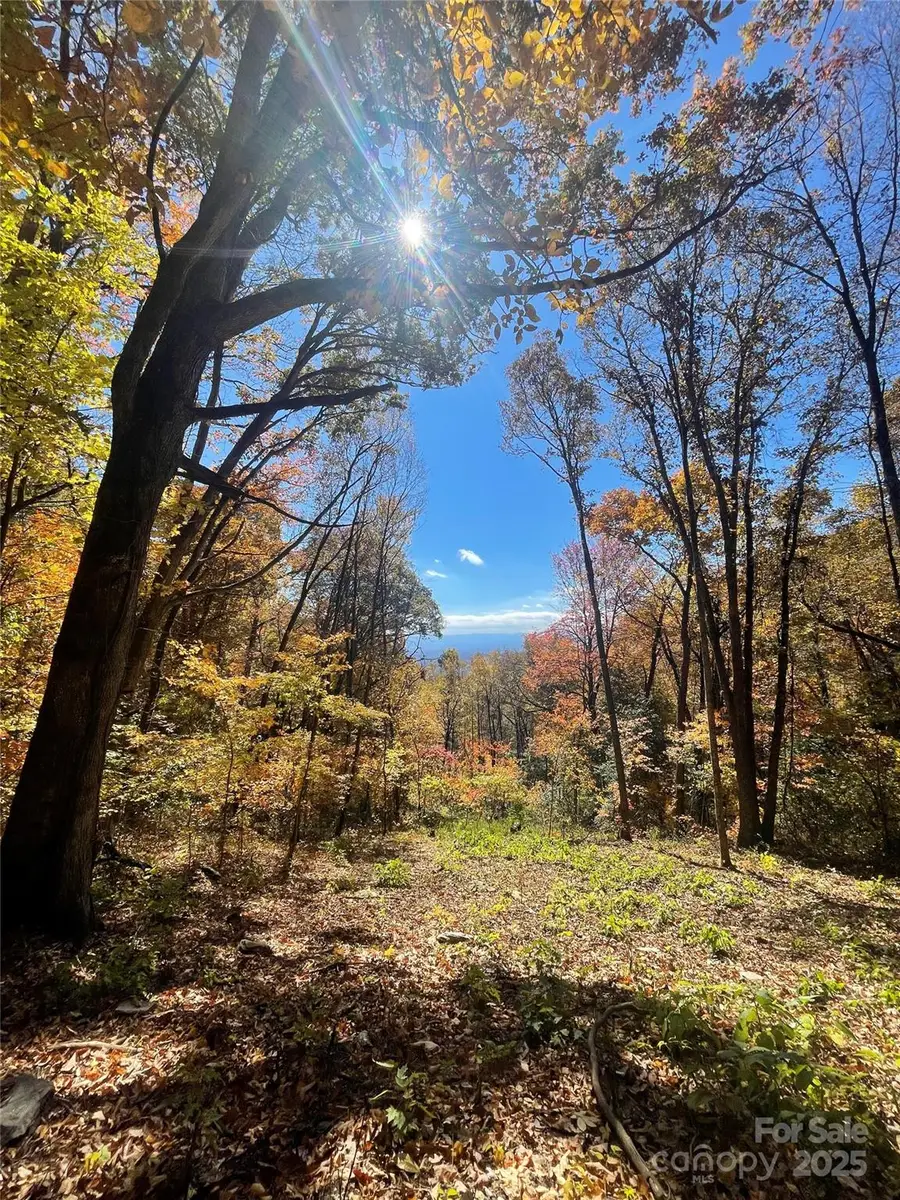 00000 New Sprout Lane #1, Hendersonville, NC 28792 - Image #2