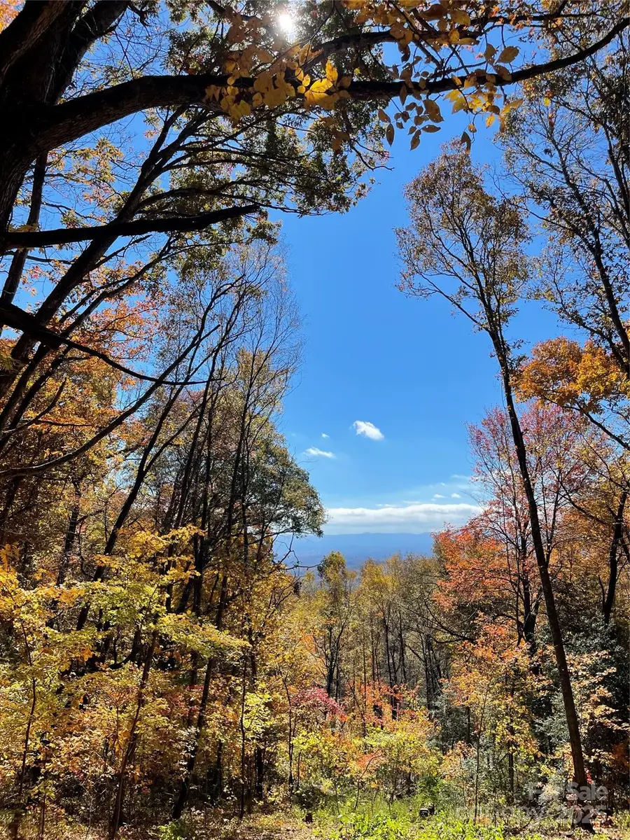 00000 New Sprout Lane #1, Hendersonville, NC 28792 - Image #3