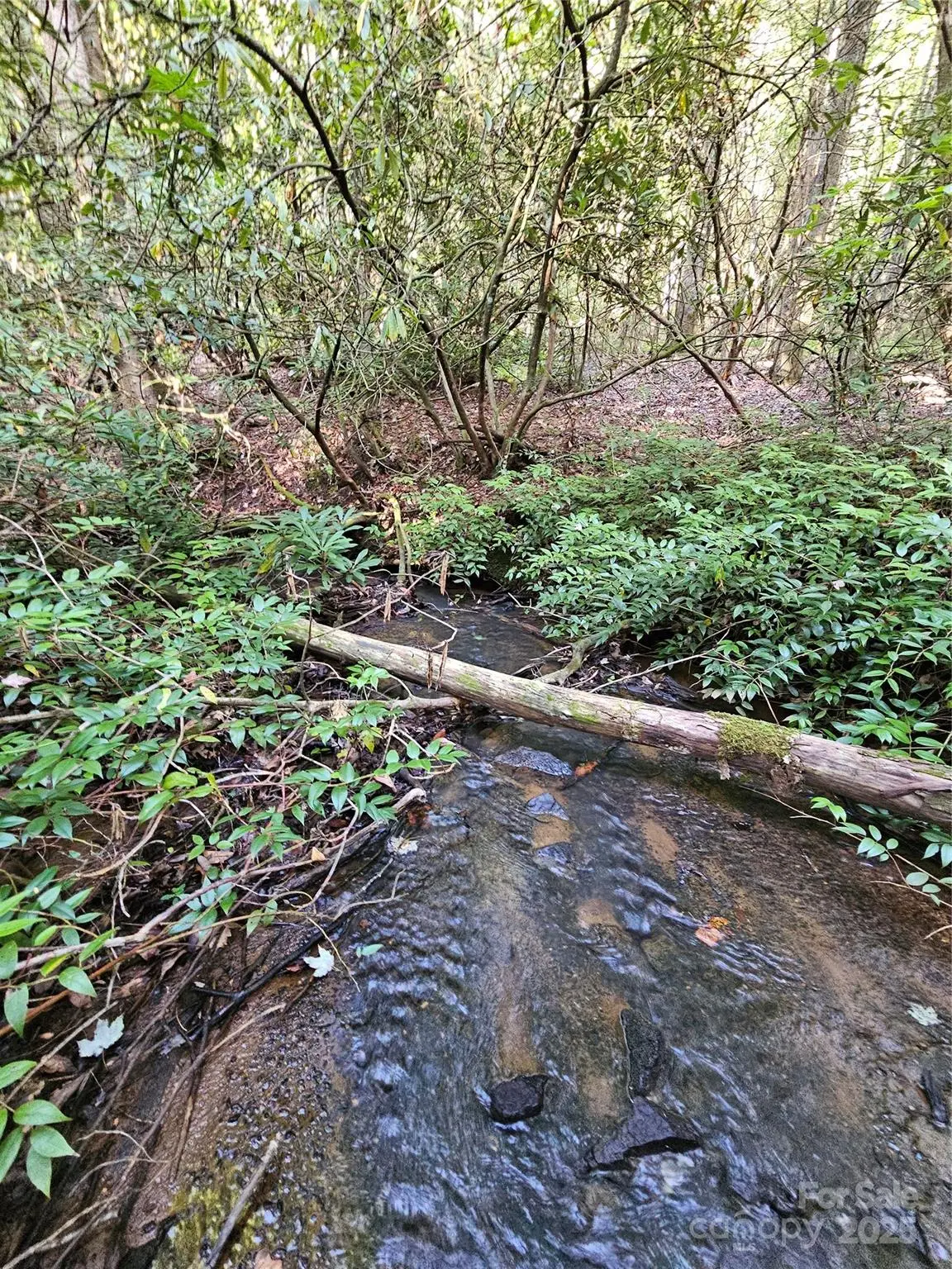 0000 Happy Acres Road, Brevard, NC 28712 - Image #1