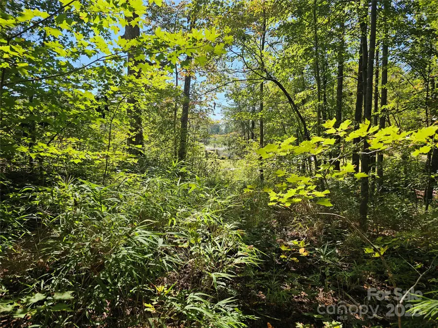 TBD Lackey Town Road, Old Fort, NC 28762 - Image #2