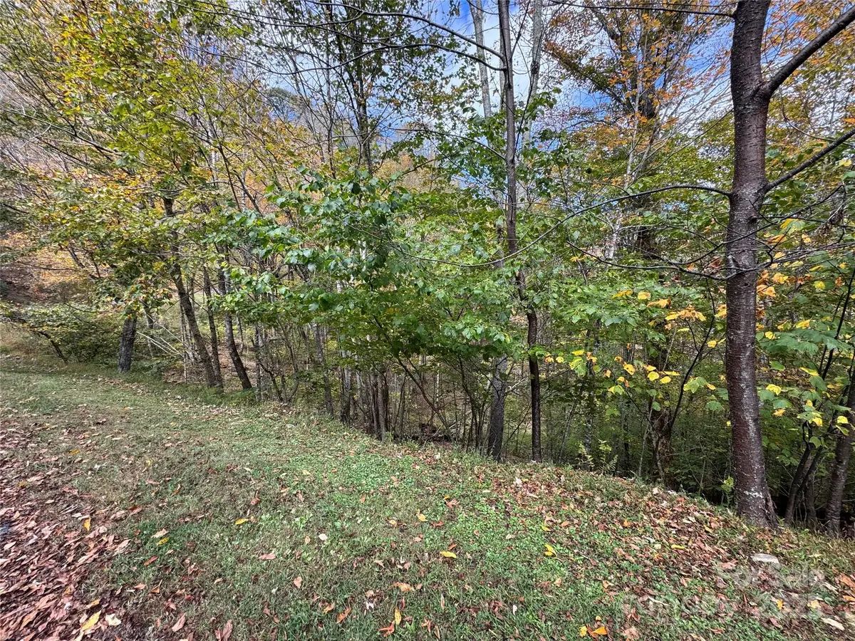 92 Goldenleaf Drive, Mars Hill, NC 28754 - Image #1