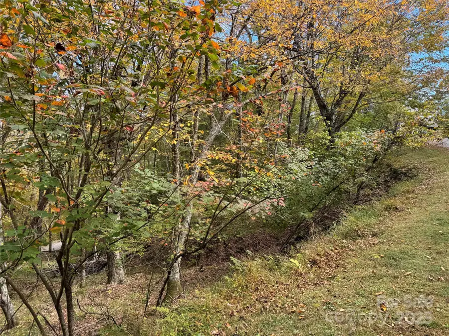 92 Goldenleaf Drive, Mars Hill, NC 28754 - Image #3