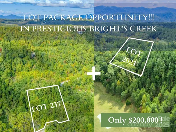 000 Deep Gap Farm Drive #237-2021, Mill Spring, NC 28756