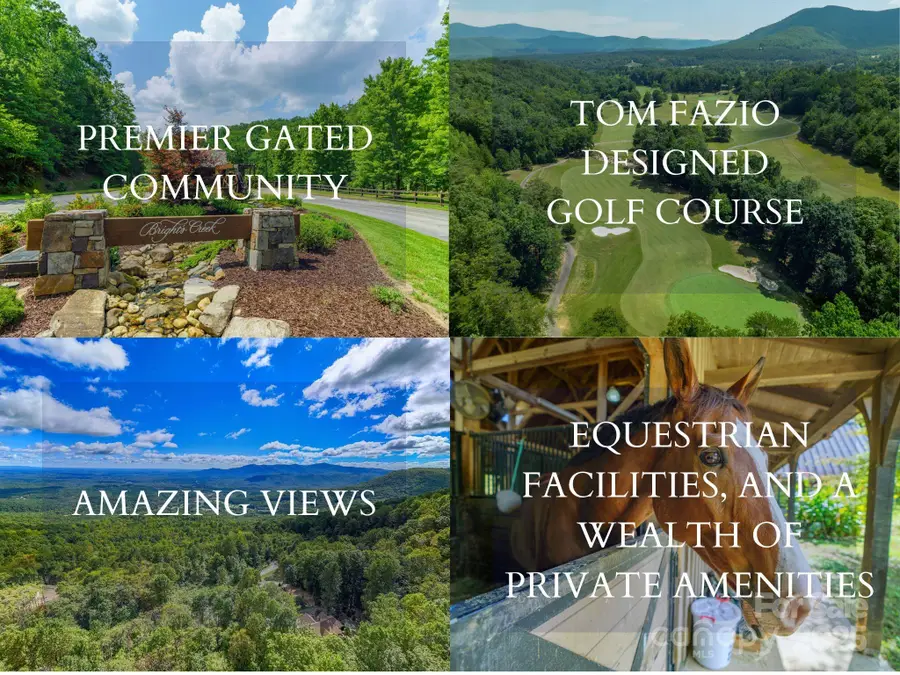 000 Deep Gap Farm Drive #237-2021, Mill Spring, NC 28756 - Image #2