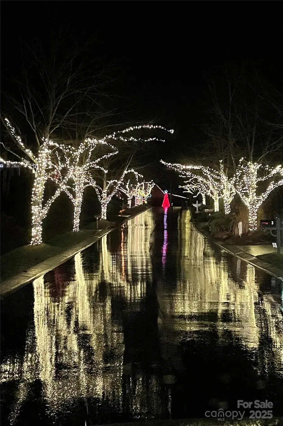 15 Ozark Spring Lane, Asheville, NC 28805 - Image #3