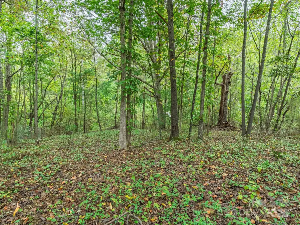 99999 Hummingbird Lane, Asheville, NC 28806 - Image #1