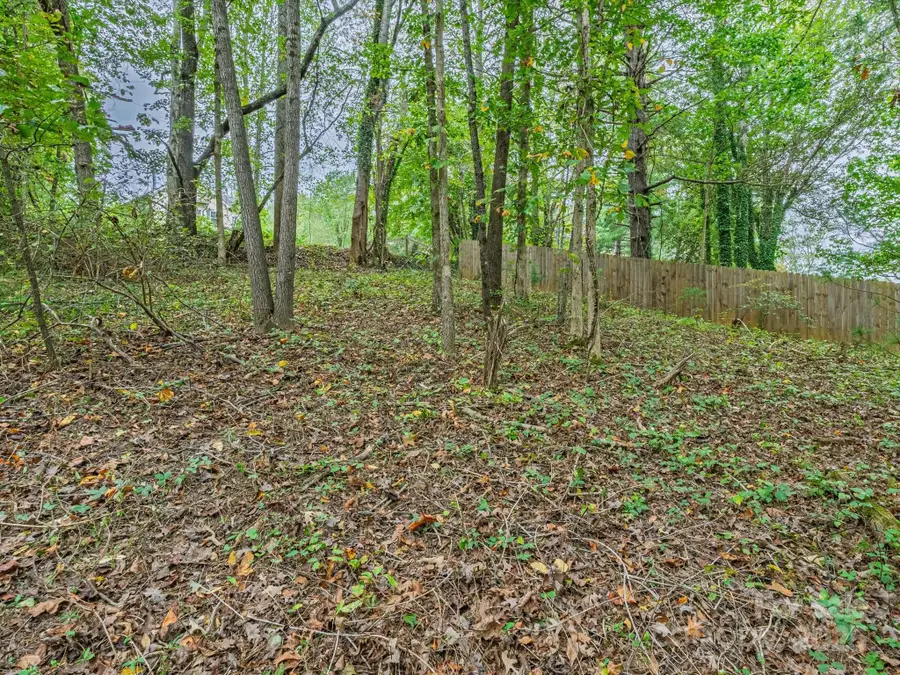 99999 Hummingbird Lane, Asheville, NC 28806 - Image #3