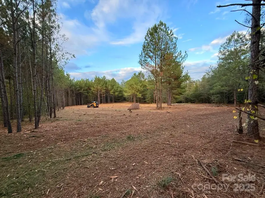 00 Steen Road, Mount Croghan, SC 29727 - Image #3