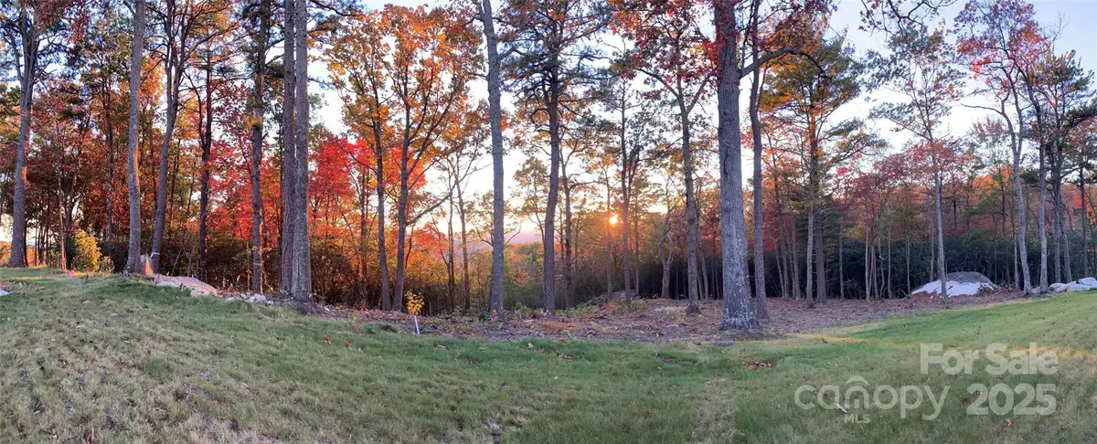 0 Mountain Grove Lane #48, Fletcher, NC 28732 - Image #1