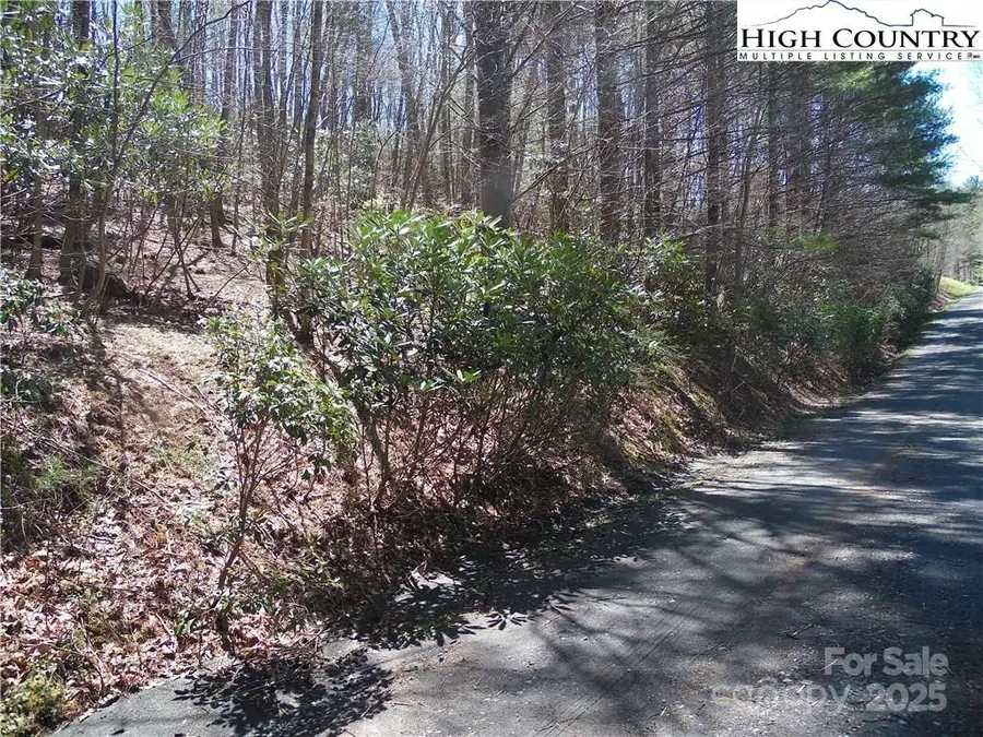 62 James Street #62, Fleetwood, NC 28626 - Image #3