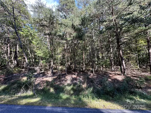 5+ Acres Myers Mill Road #3, Statesville, NC 28625