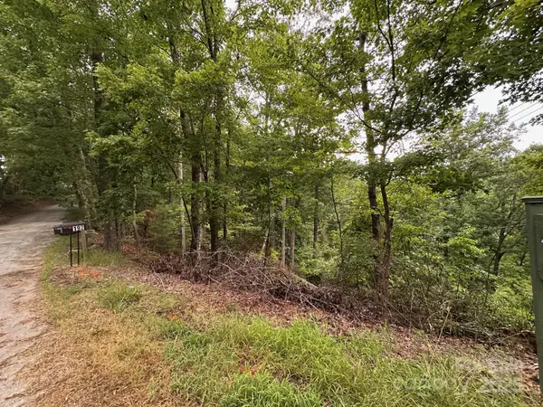 0 Buzzards Place #186, Lake Lure, NC 28746