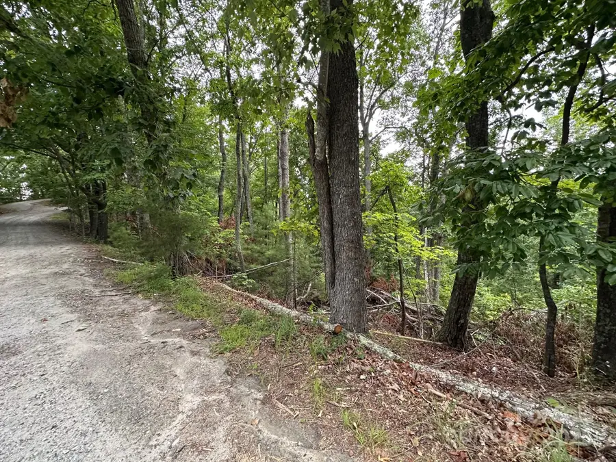 0 Buzzards Place #186, Lake Lure, NC 28746 - Image #3