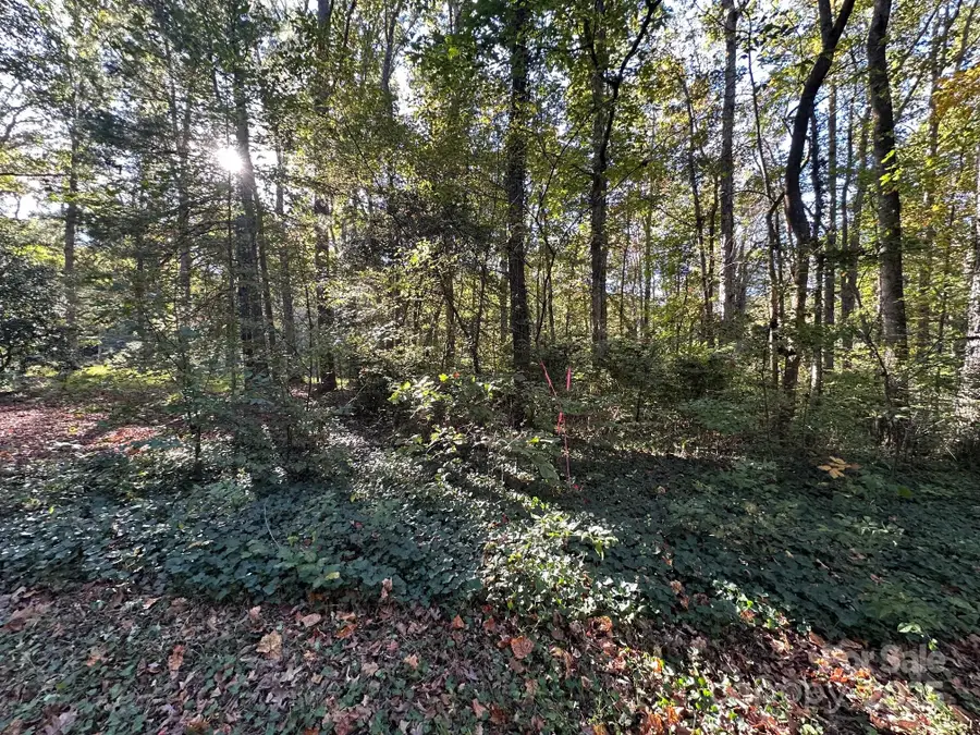 0 Courtney- Huntsville Road #1, Yadkinville, NC 27055 - Image #3