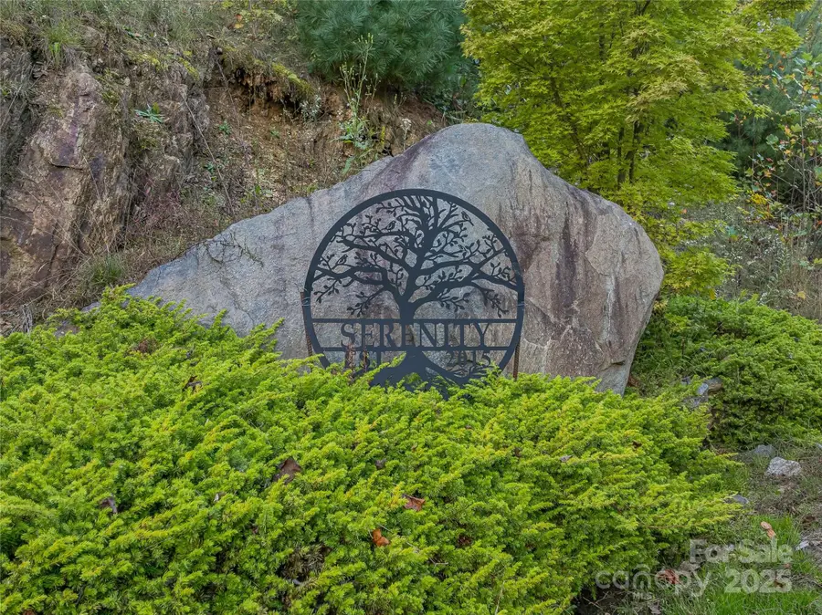 273 Serenity Ridge Trail #36, Asheville, NC 28804 - Image #2