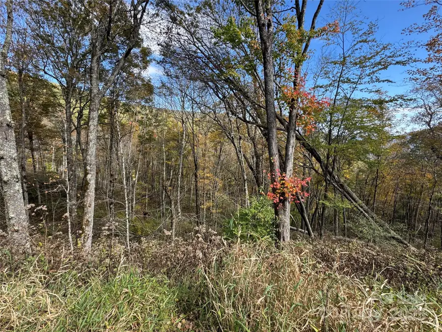 27 Trillium Lane, Mars Hill, NC 28754 - Image #2