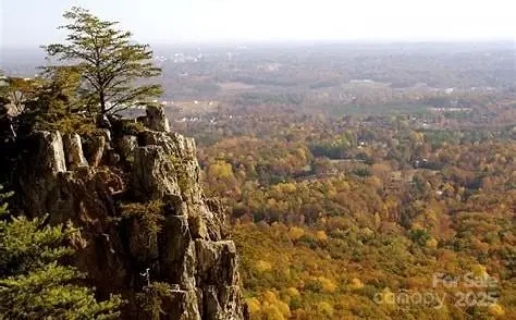 3202 Marshall Wolfe Road, Shelby, NC 28150 - #3