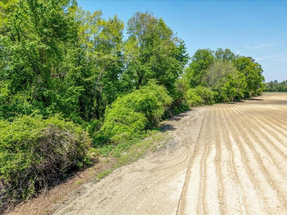 3000 Wrench Road, Mingo, NC 28344 - Image #1