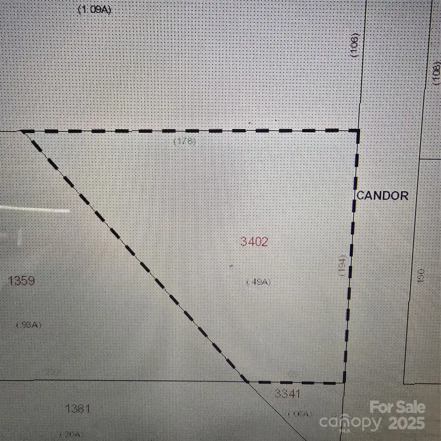 0 N Thayer Street, Candor, NC 27229 - Image #2