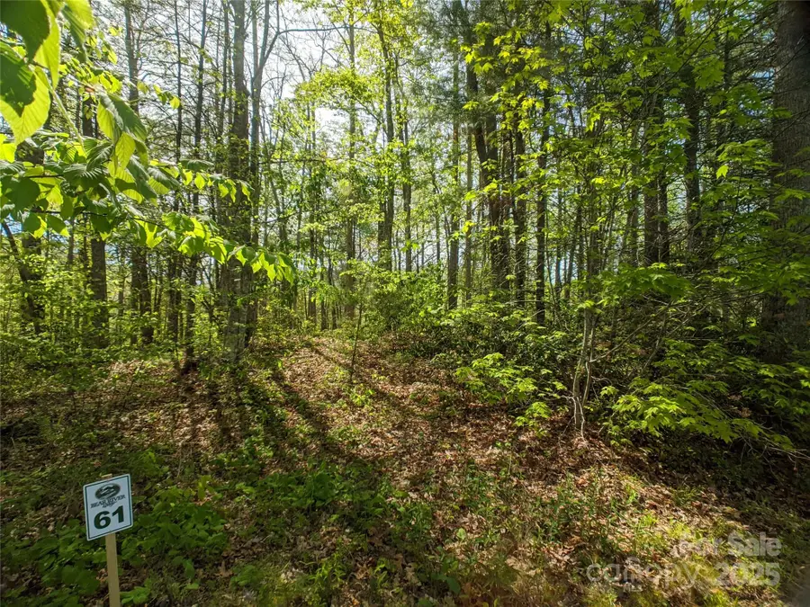 1156 Bear River Lodge Trail #61, Marshall, NC 28753 - Image #2