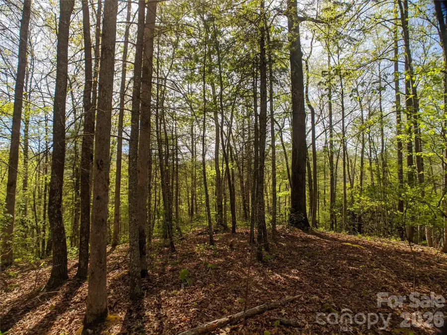 1156 Bear River Lodge Trail #61, Marshall, NC 28753 - #3