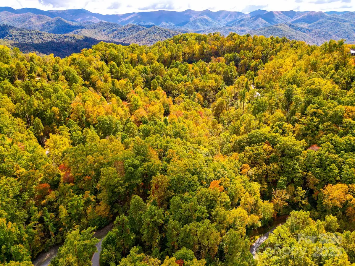 443 Glen Valley Drive, Weaverville, NC 28787 - Image #1